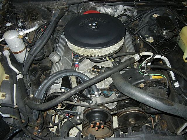 1978 Chevy C10 350 Engine