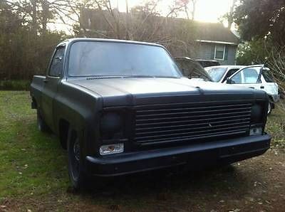1978 Chevy Short Bed Truck