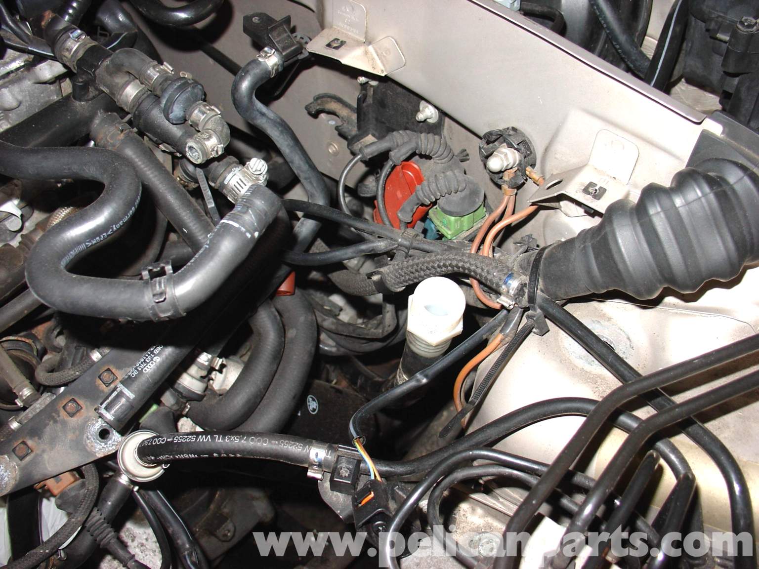2001 VW Jetta Transmission Fluid