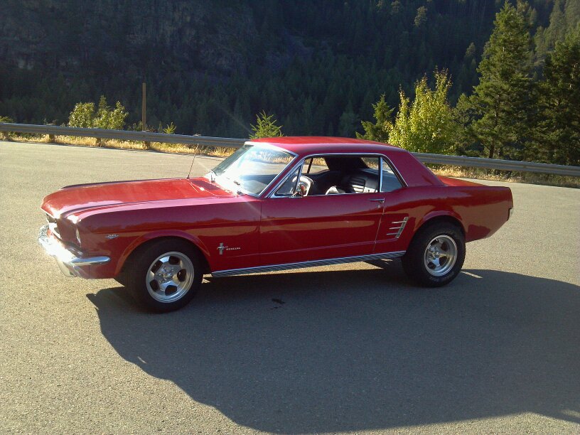66 Mustang Rear