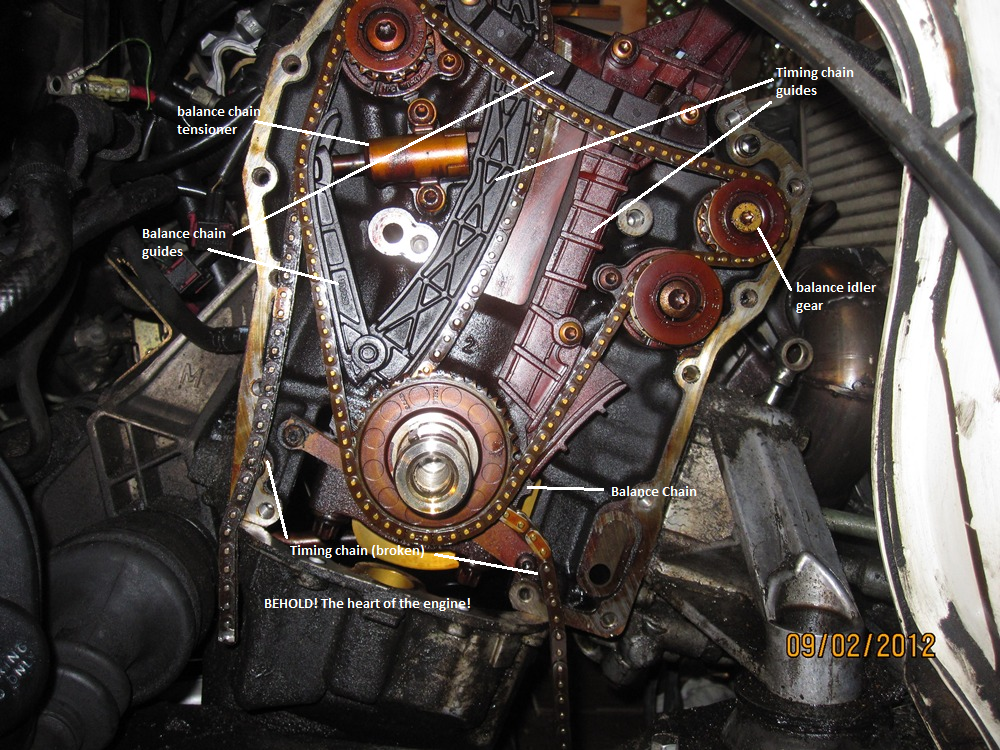 Cloyes?  Mercury Mountaineer 20032005 Engine Timing Chain Kit