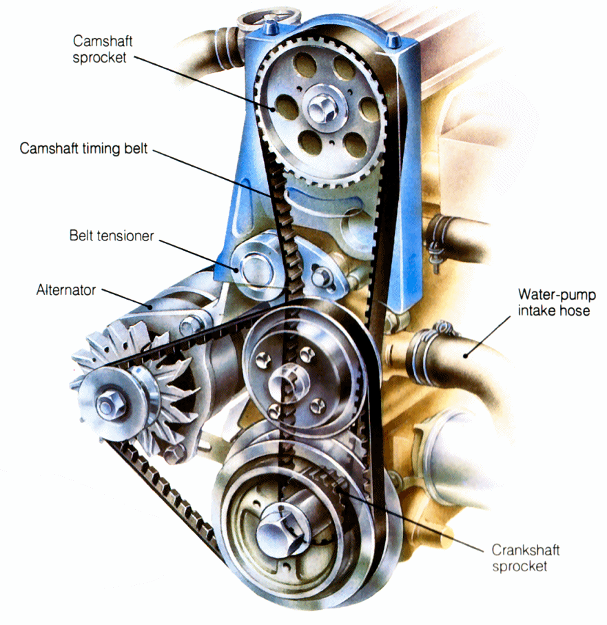 Engine Timing Belt