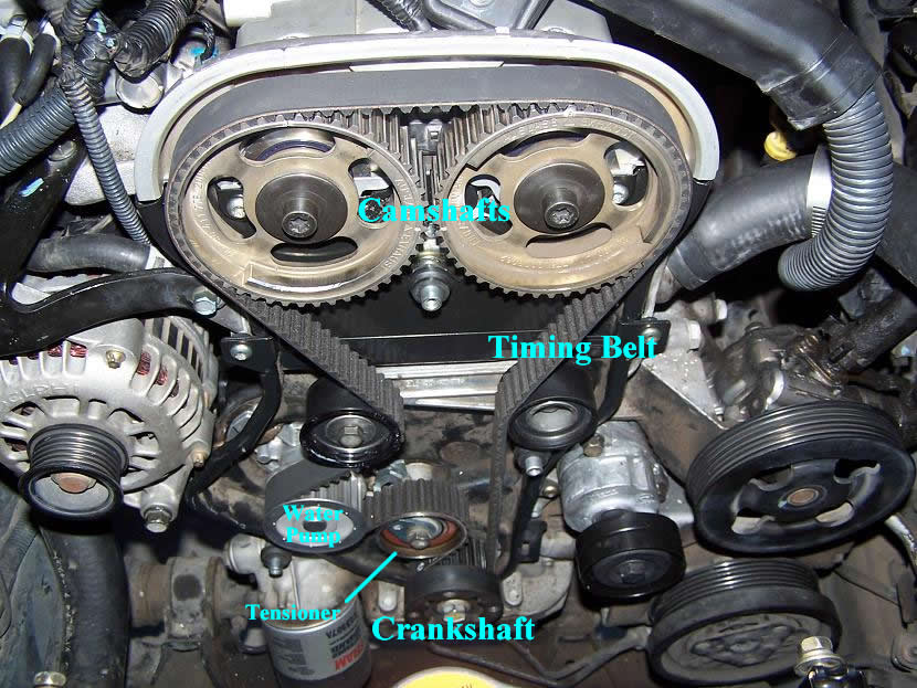 Engine Timing Belt Replacement