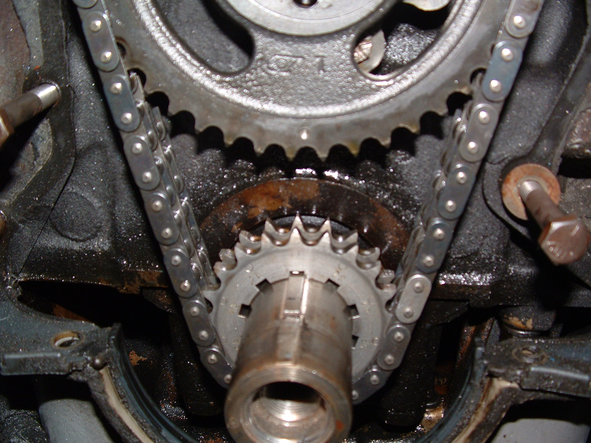 Engine Timing Chain