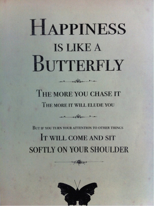 Life Is Like a Butterfly Quote
