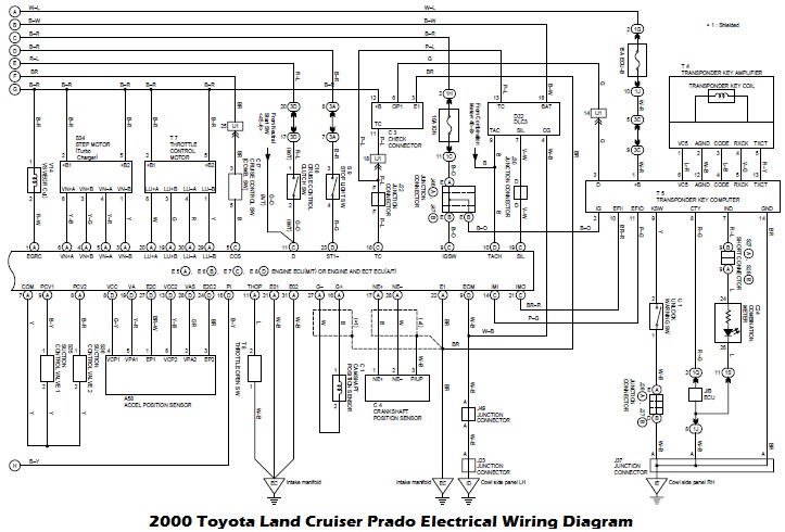 Toyota Electrical Wiring Diagram